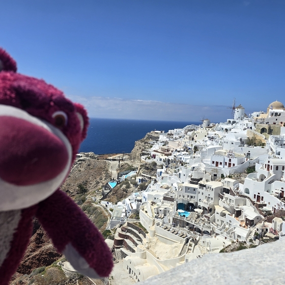 Meet your Posher, Pat - Picture 11 of 17